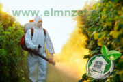 شركة رش مبيدات بالمدينة المنورة, باستخدام مبيدات حشرية مصرح بها من وزارة الصحة