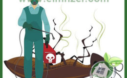 شركة مكافحة حشرات بمكة